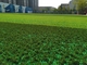 La FIFA aprobó la hierba artificial de goma verde llena para el granuel lleno del funcionamiento al aire libre