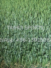 Resistente a los rayos UV 50 mm Tamaño personalizado Paisaje al aire libre Césped artificial sintético Para el fútbol Campo de fútbol